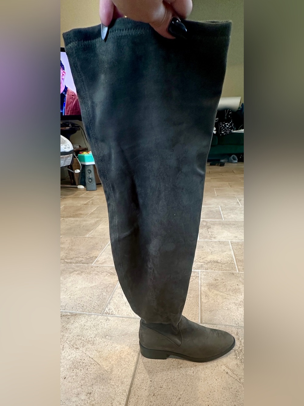 ALDO “Araecia” Thigh High Suede Boots